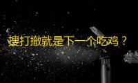 搜打撤就是下一个吃鸡？海内外大厂齐上阵，押注下一个现象级爆款 | 游戏干线